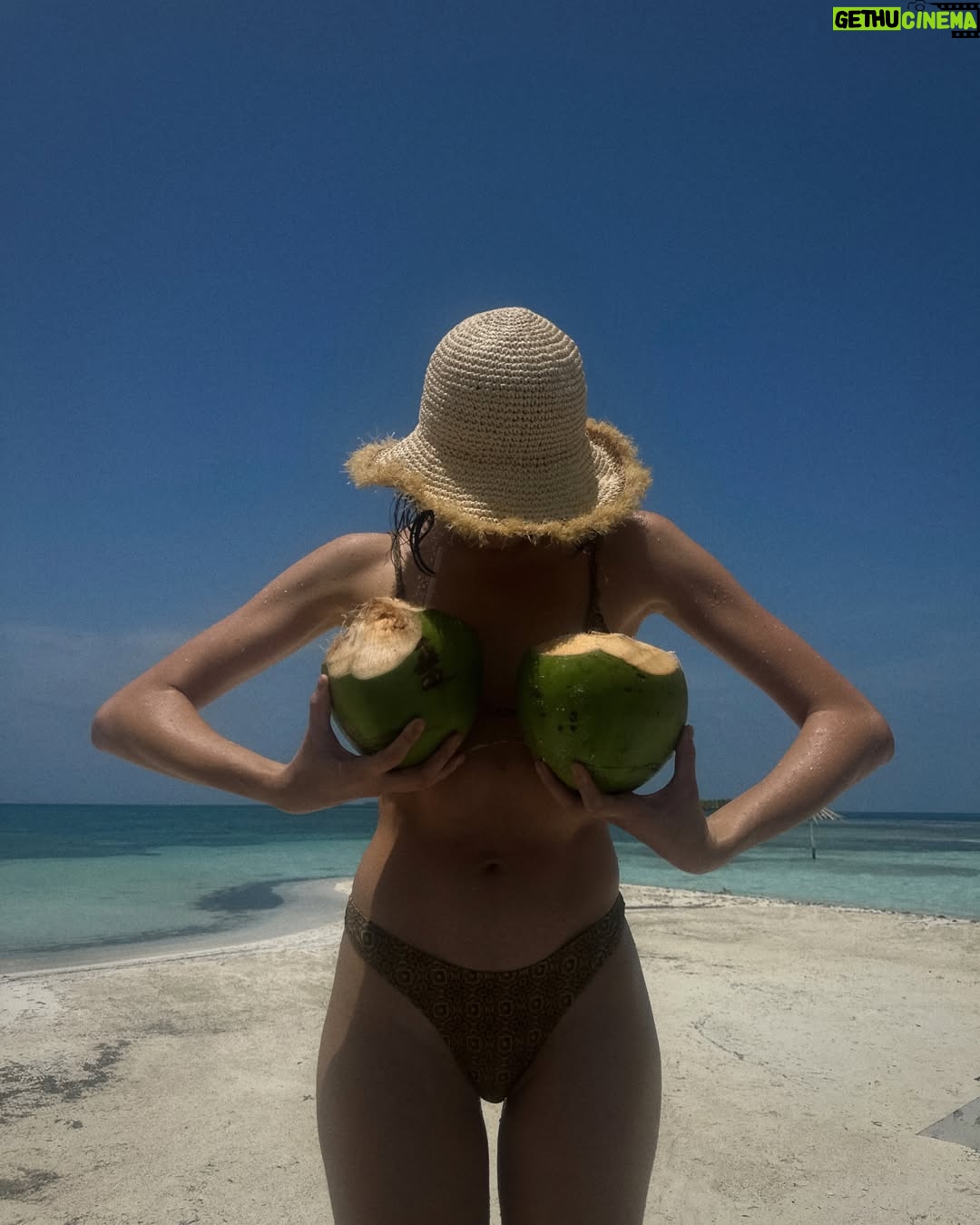 Ava Michelle - 27K Likes - island girl 🏝️🌺🐙🐚🐬🥥
