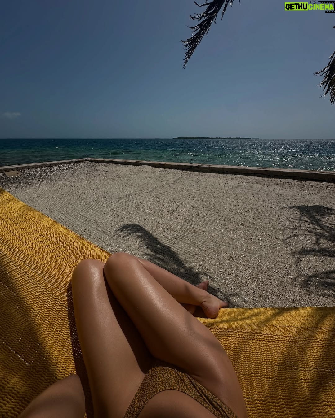 Ava Michelle - 27K Likes - island girl 🏝️🌺🐙🐚🐬🥥