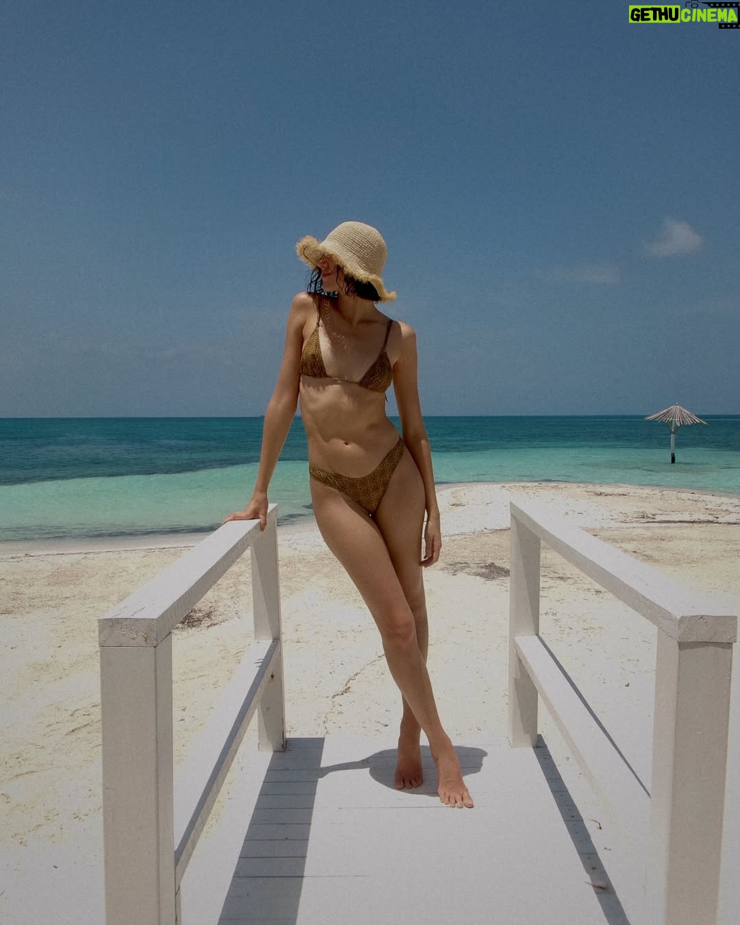 Ava Michelle - 27K Likes - island girl 🏝️🌺🐙🐚🐬🥥