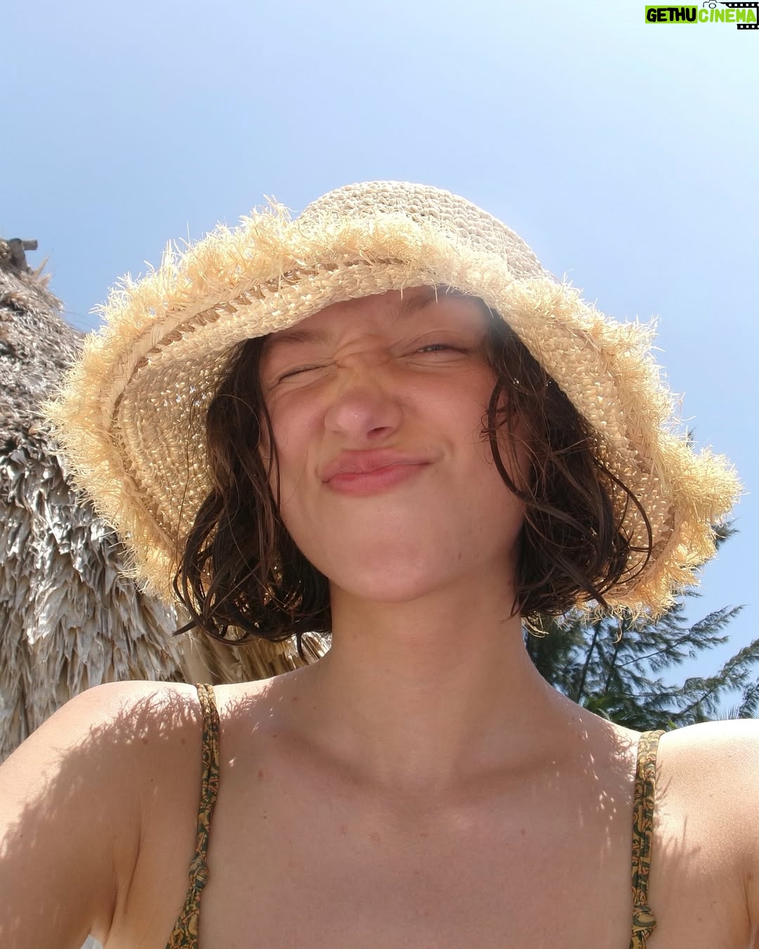 Ava Michelle - 27K Likes - island girl 🏝️🌺🐙🐚🐬🥥