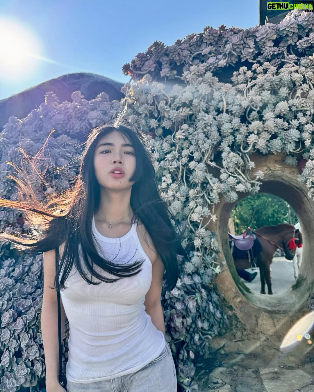 Azi Acosta - 60.4K Likes - Fasipannn