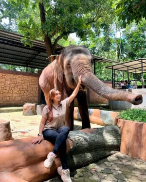 Baby Margaretha Instagram - Hallo Sabazoo! 

Hari ini seru banget bisa jalan-jalan sambil belajar dan berkenalan dengan satwa - satwa di Bandung Zoo 🦒🐘🦜🦚
Senang sekali bisa kenalan dengan Salmah si Gajah sumatra cantik🐘, Nakula, Sadewa dan Valen si Binturong gemas, burung - burung yang cantik juga si Ular dengan warna platinum nya 🐍
Jerapah dan Rusa🦒🦌

Kapan lagi bisa rekreasi sambil Healing di tengah kota Bandung, yuk langsung aja dateng ke @bandung_zoo 🦁

📍 @bandung_zoo 🕊️🦩
Jl. Kebun Binatang No.6, Lb. Siliwangi, Kecamatan Coblong, Kota Bandung, Jawa Barat 40132

BANDUNG ZOO tetap BUKA dan beroperasi seperti biasa yaa!
Dengan Jam Operasional mulai pukul 09-00 - 16.00 dan pembelian tiket terakhir pukul 15.30.
Silahkan berkunjung🦁

#bandungzoo #RekreasiSerudiBandungZoo  #kebunbinatangbandung #florafauna #satwa #bandungplacetogo #wisatabandung #bandunghits