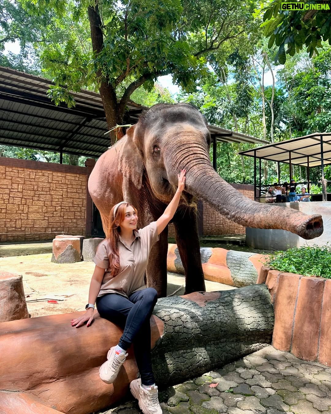 Baby Margaretha - 3 Likes - Hallo Sabazoo!
Hari ini seru banget bisa jalan-jalan sambil belajar dan berkenalan dengan satwa - satwa di Bandung Zoo 🦒🐘🦜🦚
Senang sekali bisa kenalan dengan Salmah si Gajah sumatra cantik🐘, Nakula, Sadewa dan Valen si Binturong gemas, burung - burung yang cantik juga si Ular dengan warna platinum nya 🐍
Jerapah dan Rusa🦒🦌
Kapan lagi bisa rekreasi sambil Healing di tengah kota Bandung, yuk langsung aja dateng ke @bandung_zoo 🦁
📍 @bandung_zoo 🕊️🦩
Jl. Kebun Binatang No.6, Lb. Siliwangi, Kecamatan Coblong, Kota Bandung, Jawa Barat 40132
BANDUNG ZOO tetap BUKA dan beroperasi seperti biasa yaa!
Dengan Jam Operasional mulai pukul 09-00 - 16.00 dan pembelian tiket terakhir pukul 15.30.
Silahkan berkunjung🦁
#bandungzoo #RekreasiSerudiBandungZoo #kebunbinatangbandung #florafauna #satwa #bandungplacetogo #wisatabandung #bandunghits