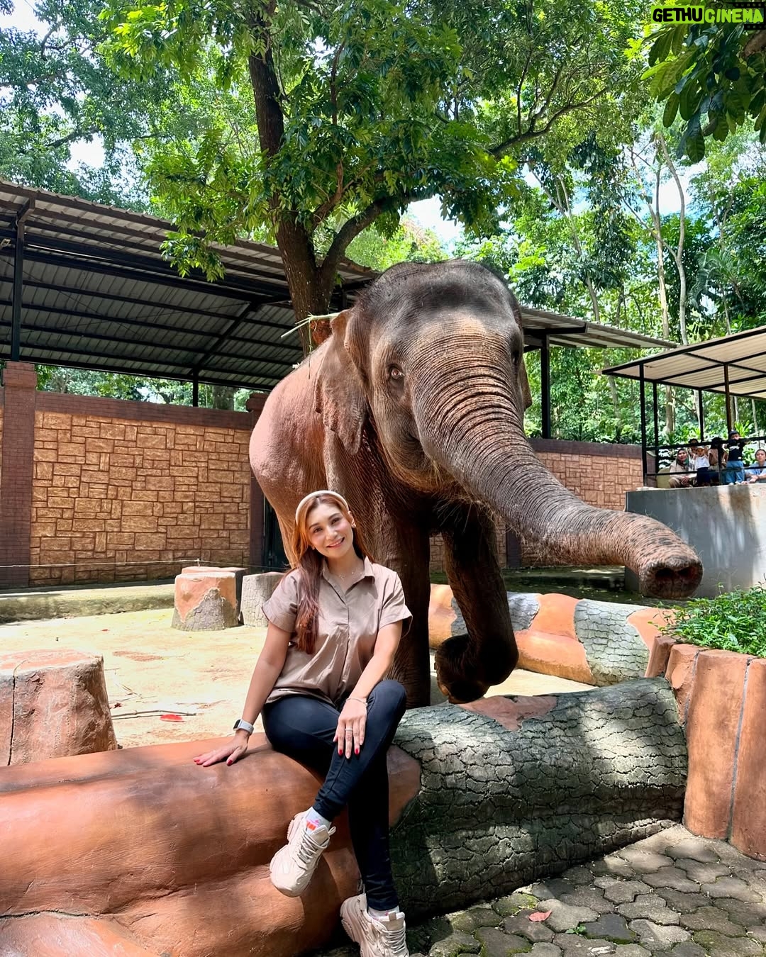 Baby Margaretha - 3 Likes - Hallo Sabazoo!
Hari ini seru banget bisa jalan-jalan sambil belajar dan berkenalan dengan satwa - satwa di Bandung Zoo 🦒🐘🦜🦚
Senang sekali bisa kenalan dengan Salmah si Gajah sumatra cantik🐘, Nakula, Sadewa dan Valen si Binturong gemas, burung - burung yang cantik juga si Ular dengan warna platinum nya 🐍
Jerapah dan Rusa🦒🦌
Kapan lagi bisa rekreasi sambil Healing di tengah kota Bandung, yuk langsung aja dateng ke @bandung_zoo 🦁
📍 @bandung_zoo 🕊️🦩
Jl. Kebun Binatang No.6, Lb. Siliwangi, Kecamatan Coblong, Kota Bandung, Jawa Barat 40132
BANDUNG ZOO tetap BUKA dan beroperasi seperti biasa yaa!
Dengan Jam Operasional mulai pukul 09-00 - 16.00 dan pembelian tiket terakhir pukul 15.30.
Silahkan berkunjung🦁
#bandungzoo #RekreasiSerudiBandungZoo #kebunbinatangbandung #florafauna #satwa #bandungplacetogo #wisatabandung #bandunghits