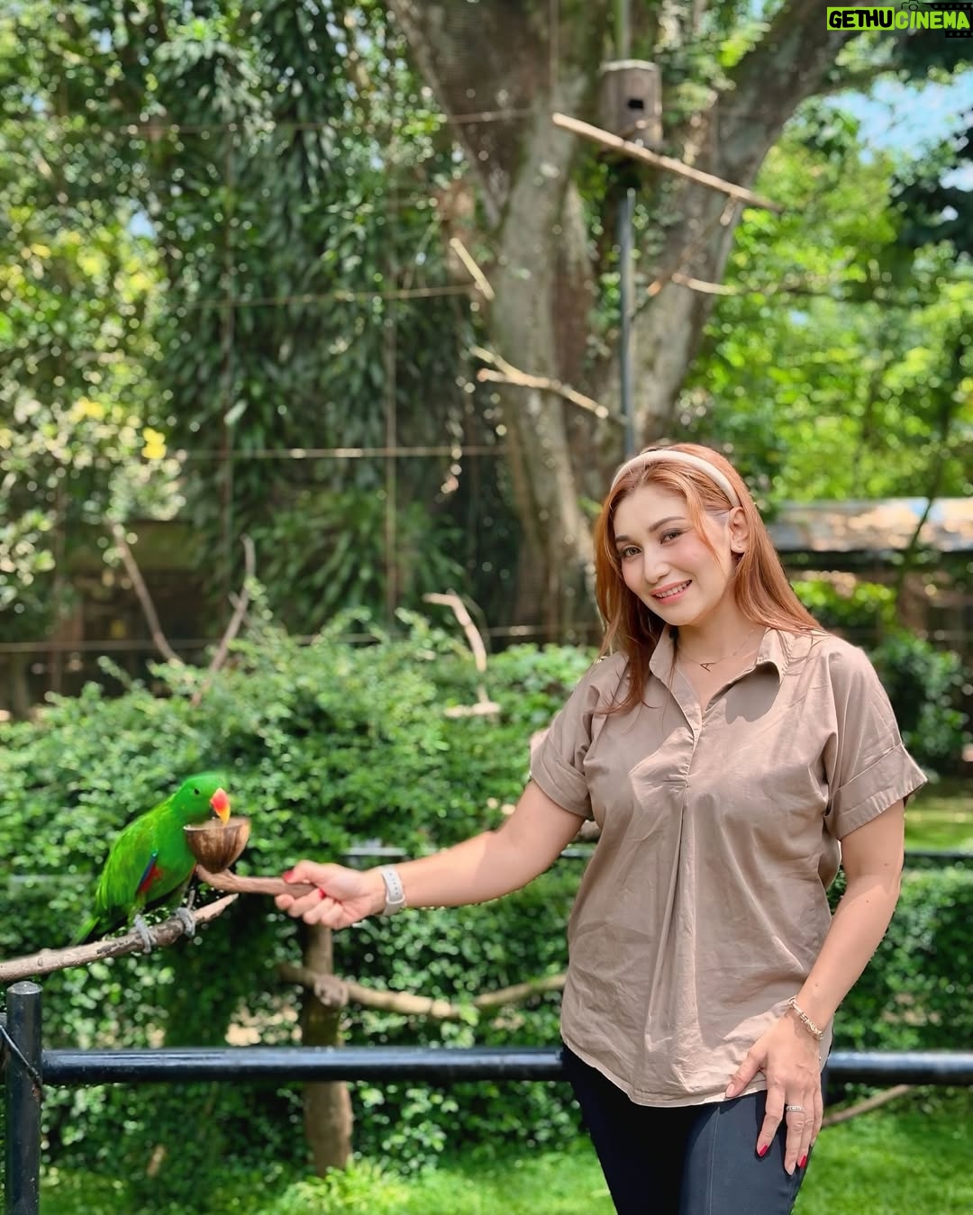 Baby Margaretha - 3 Likes - Hallo Sabazoo!
Hari ini seru banget bisa jalan-jalan sambil belajar dan berkenalan dengan satwa - satwa di Bandung Zoo 🦒🐘🦜🦚
Senang sekali bisa kenalan dengan Salmah si Gajah sumatra cantik🐘, Nakula, Sadewa dan Valen si Binturong gemas, burung - burung yang cantik juga si Ular dengan warna platinum nya 🐍
Jerapah dan Rusa🦒🦌
Kapan lagi bisa rekreasi sambil Healing di tengah kota Bandung, yuk langsung aja dateng ke @bandung_zoo 🦁
📍 @bandung_zoo 🕊️🦩
Jl. Kebun Binatang No.6, Lb. Siliwangi, Kecamatan Coblong, Kota Bandung, Jawa Barat 40132
BANDUNG ZOO tetap BUKA dan beroperasi seperti biasa yaa!
Dengan Jam Operasional mulai pukul 09-00 - 16.00 dan pembelian tiket terakhir pukul 15.30.
Silahkan berkunjung🦁
#bandungzoo #RekreasiSerudiBandungZoo #kebunbinatangbandung #florafauna #satwa #bandungplacetogo #wisatabandung #bandunghits
