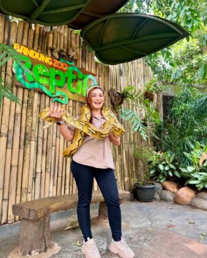 Baby Margaretha Instagram - Hallo Sabazoo! 

Hari ini seru banget bisa jalan-jalan sambil belajar dan berkenalan dengan satwa - satwa di Bandung Zoo 🦒🐘🦜🦚
Senang sekali bisa kenalan dengan Salmah si Gajah sumatra cantik🐘, Nakula, Sadewa dan Valen si Binturong gemas, burung - burung yang cantik juga si Ular dengan warna platinum nya 🐍
Jerapah dan Rusa🦒🦌

Kapan lagi bisa rekreasi sambil Healing di tengah kota Bandung, yuk langsung aja dateng ke @bandung_zoo 🦁

📍 @bandung_zoo 🕊️🦩
Jl. Kebun Binatang No.6, Lb. Siliwangi, Kecamatan Coblong, Kota Bandung, Jawa Barat 40132

BANDUNG ZOO tetap BUKA dan beroperasi seperti biasa yaa!
Dengan Jam Operasional mulai pukul 09-00 - 16.00 dan pembelian tiket terakhir pukul 15.30.
Silahkan berkunjung🦁

#bandungzoo #RekreasiSerudiBandungZoo  #kebunbinatangbandung #florafauna #satwa #bandungplacetogo #wisatabandung #bandunghits