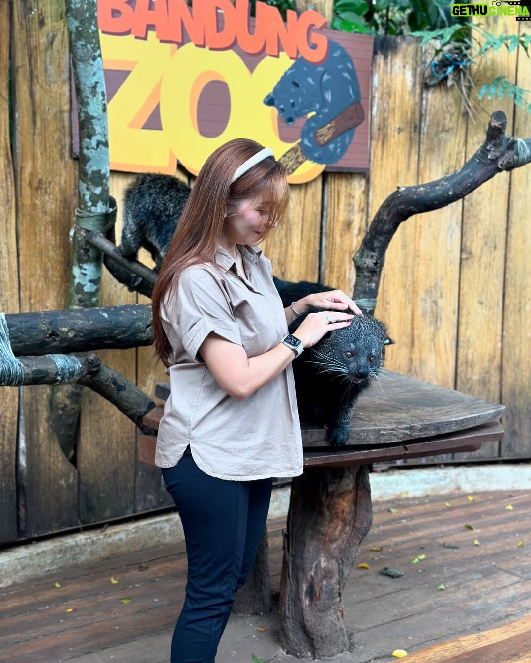 Baby Margaretha - 3 Likes - Hallo Sabazoo!
Hari ini seru banget bisa jalan-jalan sambil belajar dan berkenalan dengan satwa - satwa di Bandung Zoo 🦒🐘🦜🦚
Senang sekali bisa kenalan dengan Salmah si Gajah sumatra cantik🐘, Nakula, Sadewa dan Valen si Binturong gemas, burung - burung yang cantik juga si Ular dengan warna platinum nya 🐍
Jerapah dan Rusa🦒🦌
Kapan lagi bisa rekreasi sambil Healing di tengah kota Bandung, yuk langsung aja dateng ke @bandung_zoo 🦁
📍 @bandung_zoo 🕊️🦩
Jl. Kebun Binatang No.6, Lb. Siliwangi, Kecamatan Coblong, Kota Bandung, Jawa Barat 40132
BANDUNG ZOO tetap BUKA dan beroperasi seperti biasa yaa!
Dengan Jam Operasional mulai pukul 09-00 - 16.00 dan pembelian tiket terakhir pukul 15.30.
Silahkan berkunjung🦁
#bandungzoo #RekreasiSerudiBandungZoo #kebunbinatangbandung #florafauna #satwa #bandungplacetogo #wisatabandung #bandunghits