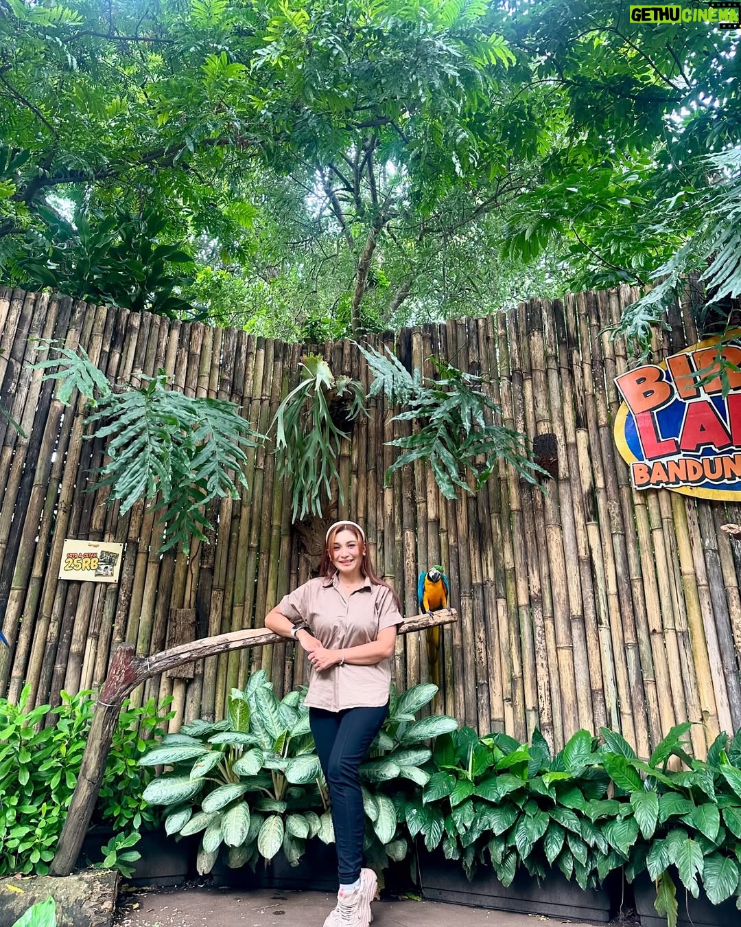 Baby Margaretha - 3 Likes - Hallo Sabazoo!
Hari ini seru banget bisa jalan-jalan sambil belajar dan berkenalan dengan satwa - satwa di Bandung Zoo 🦒🐘🦜🦚
Senang sekali bisa kenalan dengan Salmah si Gajah sumatra cantik🐘, Nakula, Sadewa dan Valen si Binturong gemas, burung - burung yang cantik juga si Ular dengan warna platinum nya 🐍
Jerapah dan Rusa🦒🦌
Kapan lagi bisa rekreasi sambil Healing di tengah kota Bandung, yuk langsung aja dateng ke @bandung_zoo 🦁
📍 @bandung_zoo 🕊️🦩
Jl. Kebun Binatang No.6, Lb. Siliwangi, Kecamatan Coblong, Kota Bandung, Jawa Barat 40132
BANDUNG ZOO tetap BUKA dan beroperasi seperti biasa yaa!
Dengan Jam Operasional mulai pukul 09-00 - 16.00 dan pembelian tiket terakhir pukul 15.30.
Silahkan berkunjung🦁
#bandungzoo #RekreasiSerudiBandungZoo #kebunbinatangbandung #florafauna #satwa #bandungplacetogo #wisatabandung #bandunghits