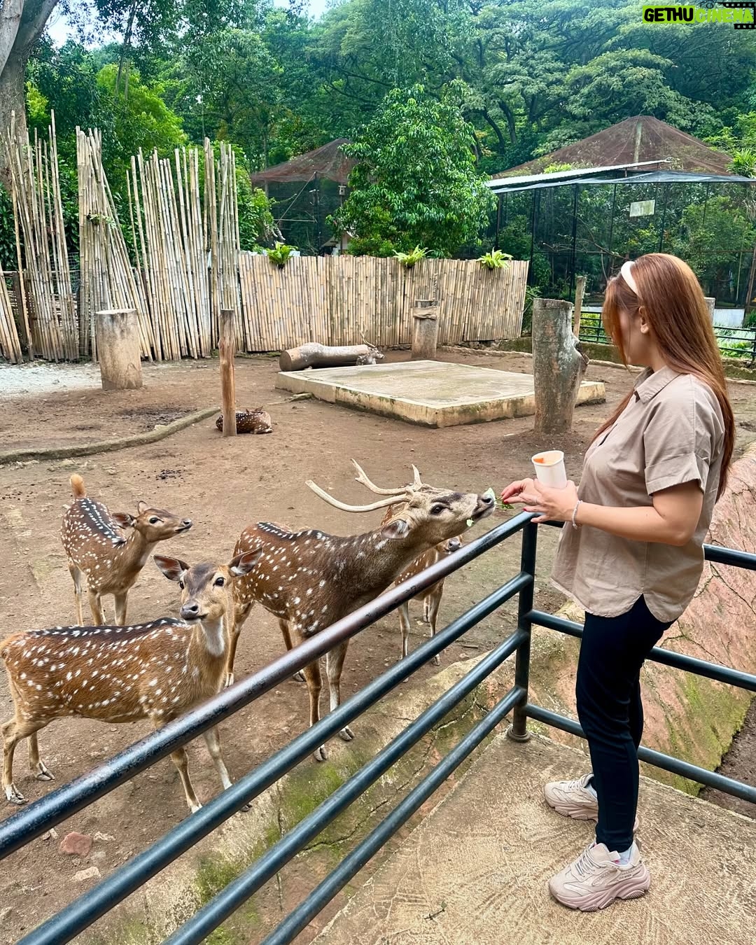 Baby Margaretha - 3 Likes - Hallo Sabazoo!
Hari ini seru banget bisa jalan-jalan sambil belajar dan berkenalan dengan satwa - satwa di Bandung Zoo 🦒🐘🦜🦚
Senang sekali bisa kenalan dengan Salmah si Gajah sumatra cantik🐘, Nakula, Sadewa dan Valen si Binturong gemas, burung - burung yang cantik juga si Ular dengan warna platinum nya 🐍
Jerapah dan Rusa🦒🦌
Kapan lagi bisa rekreasi sambil Healing di tengah kota Bandung, yuk langsung aja dateng ke @bandung_zoo 🦁
📍 @bandung_zoo 🕊️🦩
Jl. Kebun Binatang No.6, Lb. Siliwangi, Kecamatan Coblong, Kota Bandung, Jawa Barat 40132
BANDUNG ZOO tetap BUKA dan beroperasi seperti biasa yaa!
Dengan Jam Operasional mulai pukul 09-00 - 16.00 dan pembelian tiket terakhir pukul 15.30.
Silahkan berkunjung🦁
#bandungzoo #RekreasiSerudiBandungZoo #kebunbinatangbandung #florafauna #satwa #bandungplacetogo #wisatabandung #bandunghits