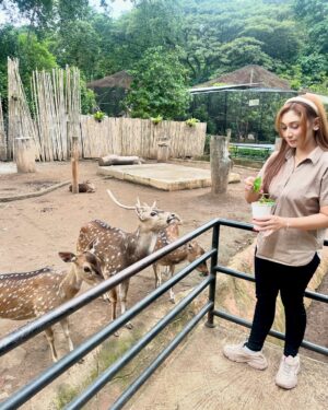 Baby Margaretha Instagram - Hallo Sabazoo! 

Hari ini seru banget bisa jalan-jalan sambil belajar dan berkenalan dengan satwa - satwa di Bandung Zoo 🦒🐘🦜🦚
Senang sekali bisa kenalan dengan Salmah si Gajah sumatra cantik🐘, Nakula, Sadewa dan Valen si Binturong gemas, burung - burung yang cantik juga si Ular dengan warna platinum nya 🐍
Jerapah dan Rusa🦒🦌

Kapan lagi bisa rekreasi sambil Healing di tengah kota Bandung, yuk langsung aja dateng ke @bandung_zoo 🦁

📍 @bandung_zoo 🕊️🦩
Jl. Kebun Binatang No.6, Lb. Siliwangi, Kecamatan Coblong, Kota Bandung, Jawa Barat 40132

BANDUNG ZOO tetap BUKA dan beroperasi seperti biasa yaa!
Dengan Jam Operasional mulai pukul 09-00 - 16.00 dan pembelian tiket terakhir pukul 15.30.
Silahkan berkunjung🦁

#bandungzoo #RekreasiSerudiBandungZoo  #kebunbinatangbandung #florafauna #satwa #bandungplacetogo #wisatabandung #bandunghits