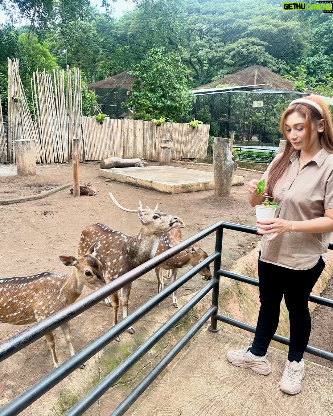 Baby Margaretha - 3 Likes - Hallo Sabazoo!
Hari ini seru banget bisa jalan-jalan sambil belajar dan berkenalan dengan satwa - satwa di Bandung Zoo 🦒🐘🦜🦚
Senang sekali bisa kenalan dengan Salmah si Gajah sumatra cantik🐘, Nakula, Sadewa dan Valen si Binturong gemas, burung - burung yang cantik juga si Ular dengan warna platinum nya 🐍
Jerapah dan Rusa🦒🦌
Kapan lagi bisa rekreasi sambil Healing di tengah kota Bandung, yuk langsung aja dateng ke @bandung_zoo 🦁
📍 @bandung_zoo 🕊️🦩
Jl. Kebun Binatang No.6, Lb. Siliwangi, Kecamatan Coblong, Kota Bandung, Jawa Barat 40132
BANDUNG ZOO tetap BUKA dan beroperasi seperti biasa yaa!
Dengan Jam Operasional mulai pukul 09-00 - 16.00 dan pembelian tiket terakhir pukul 15.30.
Silahkan berkunjung🦁
#bandungzoo #RekreasiSerudiBandungZoo #kebunbinatangbandung #florafauna #satwa #bandungplacetogo #wisatabandung #bandunghits