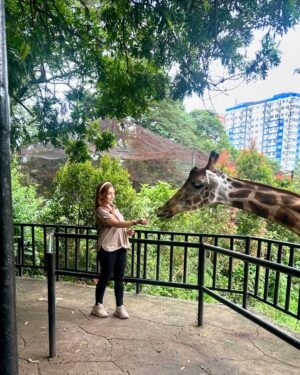 Baby Margaretha Instagram - Hallo Sabazoo! 

Hari ini seru banget bisa jalan-jalan sambil belajar dan berkenalan dengan satwa - satwa di Bandung Zoo 🦒🐘🦜🦚
Senang sekali bisa kenalan dengan Salmah si Gajah sumatra cantik🐘, Nakula, Sadewa dan Valen si Binturong gemas, burung - burung yang cantik juga si Ular dengan warna platinum nya 🐍
Jerapah dan Rusa🦒🦌

Kapan lagi bisa rekreasi sambil Healing di tengah kota Bandung, yuk langsung aja dateng ke @bandung_zoo 🦁

📍 @bandung_zoo 🕊️🦩
Jl. Kebun Binatang No.6, Lb. Siliwangi, Kecamatan Coblong, Kota Bandung, Jawa Barat 40132

BANDUNG ZOO tetap BUKA dan beroperasi seperti biasa yaa!
Dengan Jam Operasional mulai pukul 09-00 - 16.00 dan pembelian tiket terakhir pukul 15.30.
Silahkan berkunjung🦁

#bandungzoo #RekreasiSerudiBandungZoo  #kebunbinatangbandung #florafauna #satwa #bandungplacetogo #wisatabandung #bandunghits