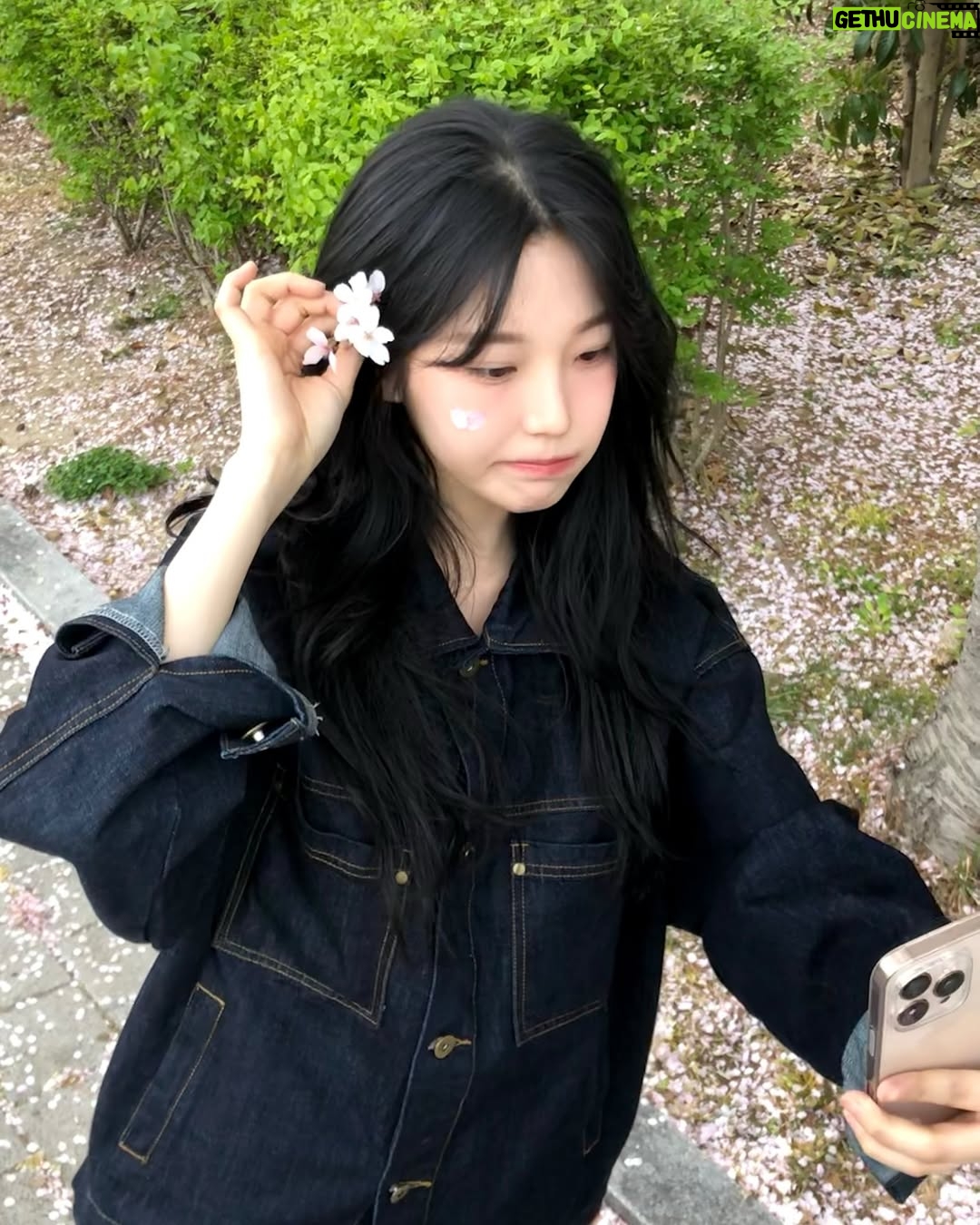 Baek Ji-heon - 227.8K Likes - 사월🌸