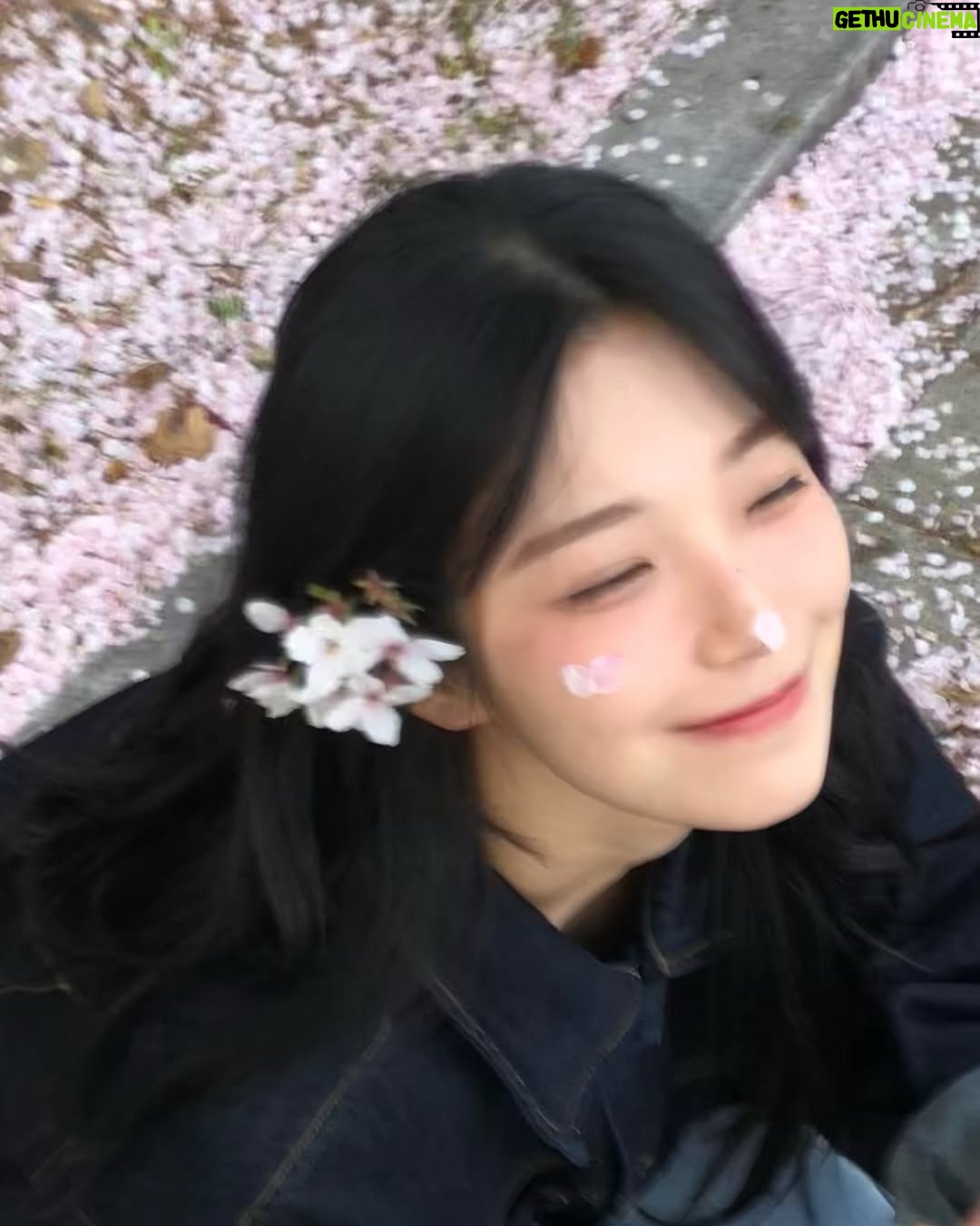 Baek Ji-heon - 227.8K Likes - 사월🌸