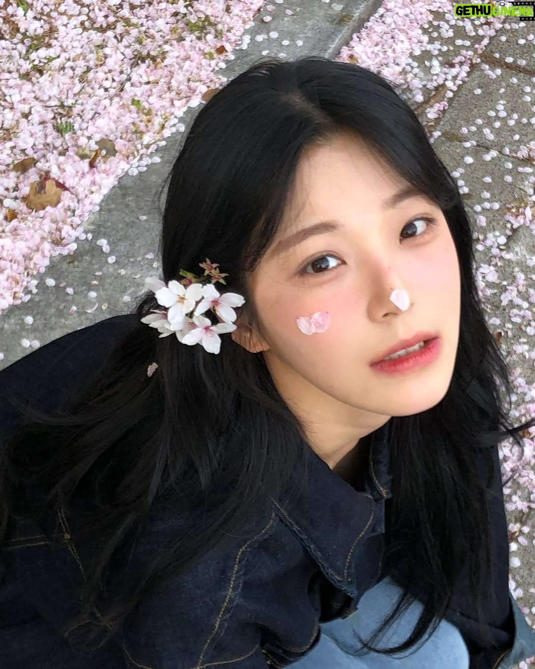 Baek Ji-heon - 227.8K Likes - 사월🌸
