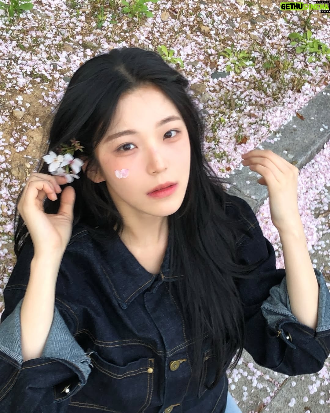 Baek Ji-heon - 227.8K Likes - 사월🌸
