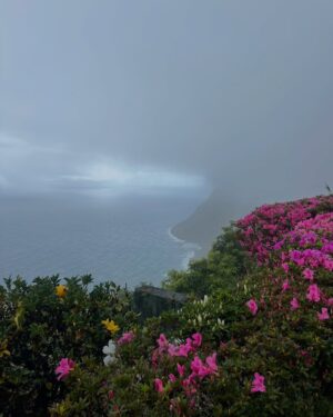 Benedita Pereira Instagram - Entre a chuva e o sol, os fatos de banho e os casacões, entre o verde mais verde que já vi e o azul a perder de vista, entre os banhos quentes e os banhos frios, as paisagens monumentais e as vistas que não se viam mas se imaginavam, entre as milhares de vacas a pastar e os gatinhos tão fofinhos que encontrávamos nos parques. 
Foi assim a nossa viagem de família a São Miguel, sempre acompanhados pelos calorosos micaelenses. Foi tão bom que viemos embora já com planos para voltar! 

Para quem está a planear as suas férias em São Miguel:
- Recomendo vivamente os hotéis @calourahotelresort e @terranostragardenhotel - são ambos lindíssimos e inseridos em paisagens de cortar a respiração- não deve haver melhor na ilha ❤️
- para almoçar peixe fresco e suculento em cima do mar recomendo o @bardacaloura 
- para passear o imperdível @parqueterranostra (o parque mais bonito que vi na vida)
- a Caldeira Velha para mergulhos de água quente
- e, para isto tudo ser possível, o melhor é alugar um carro com a @wayzorentacar