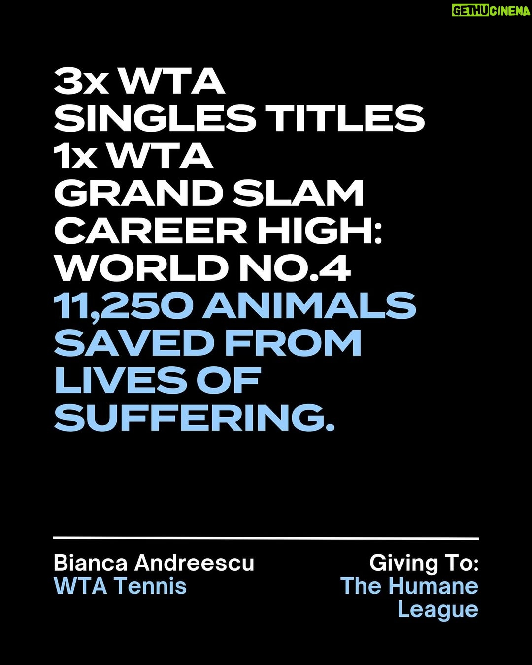 Bianca Andreescu - 413 Likes - When you’re a world-class athlete, everything you do is to maximise your performance. So why should giving be any different?
@biancaandreescu_ supports @thehumaneleague — helping end the suffering of billions of farmed animals through high-impact action 🐓 ❤️
#ResultsMatter
