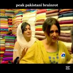Bushra Ansari Instagram - which team are you on?