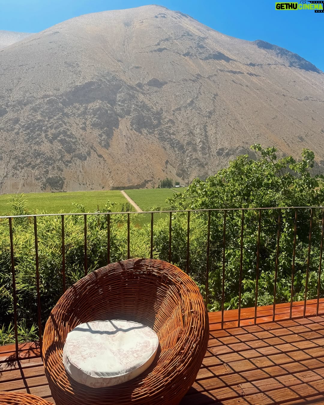 Camila Andrade - 11.6K Likes - 🙌🏻❤️☀️⛰️