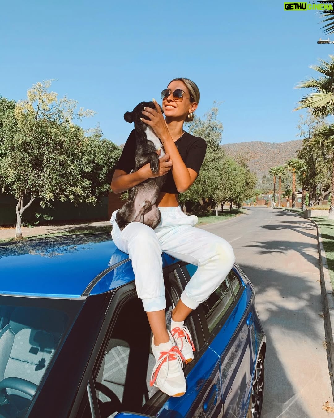 Camila Andrade - 10.5K Likes - 2 años de tu partida mi chinito lindo!
Te amo y recuerdo para siempre 👼🏻 🐕🕊️❤️