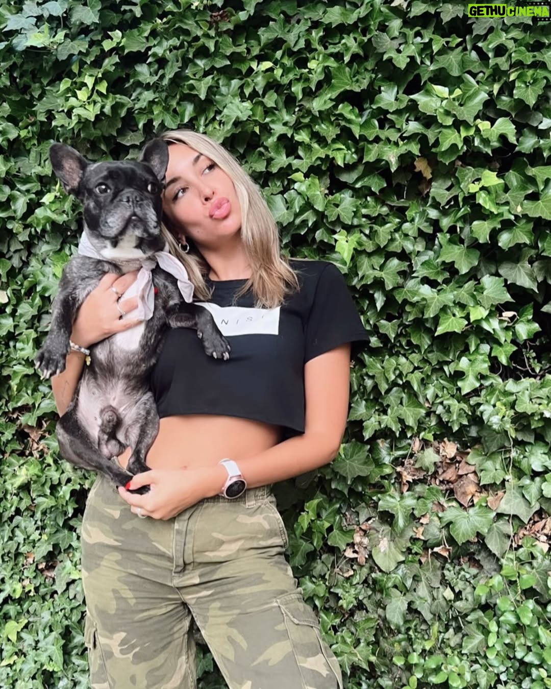 Camila Andrade - 10.5K Likes - 2 años de tu partida mi chinito lindo!
Te amo y recuerdo para siempre 👼🏻 🐕🕊️❤️
