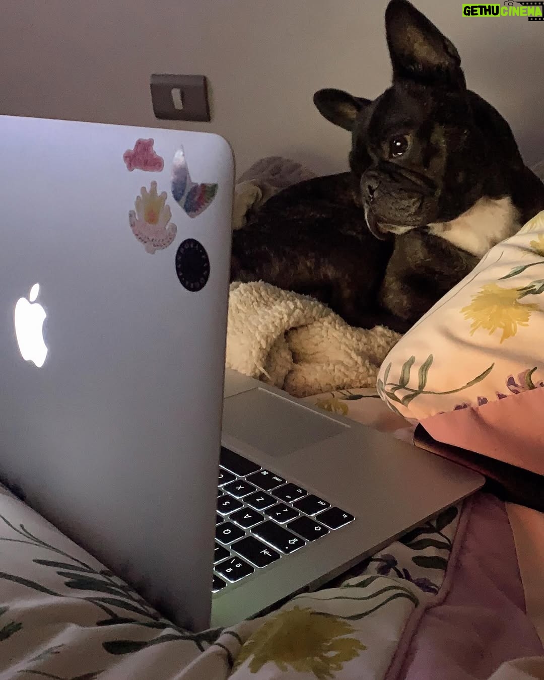 Camila Andrade - 10.5K Likes - 2 años de tu partida mi chinito lindo!
Te amo y recuerdo para siempre 👼🏻 🐕🕊️❤️