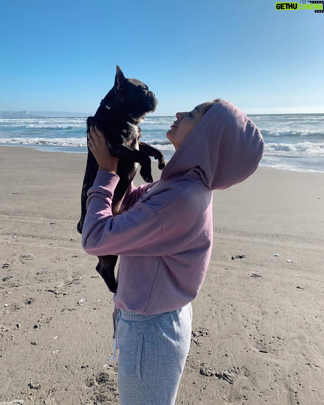 Camila Andrade - 10.5K Likes - 2 años de tu partida mi chinito lindo!
Te amo y recuerdo para siempre 👼🏻 🐕🕊️❤️