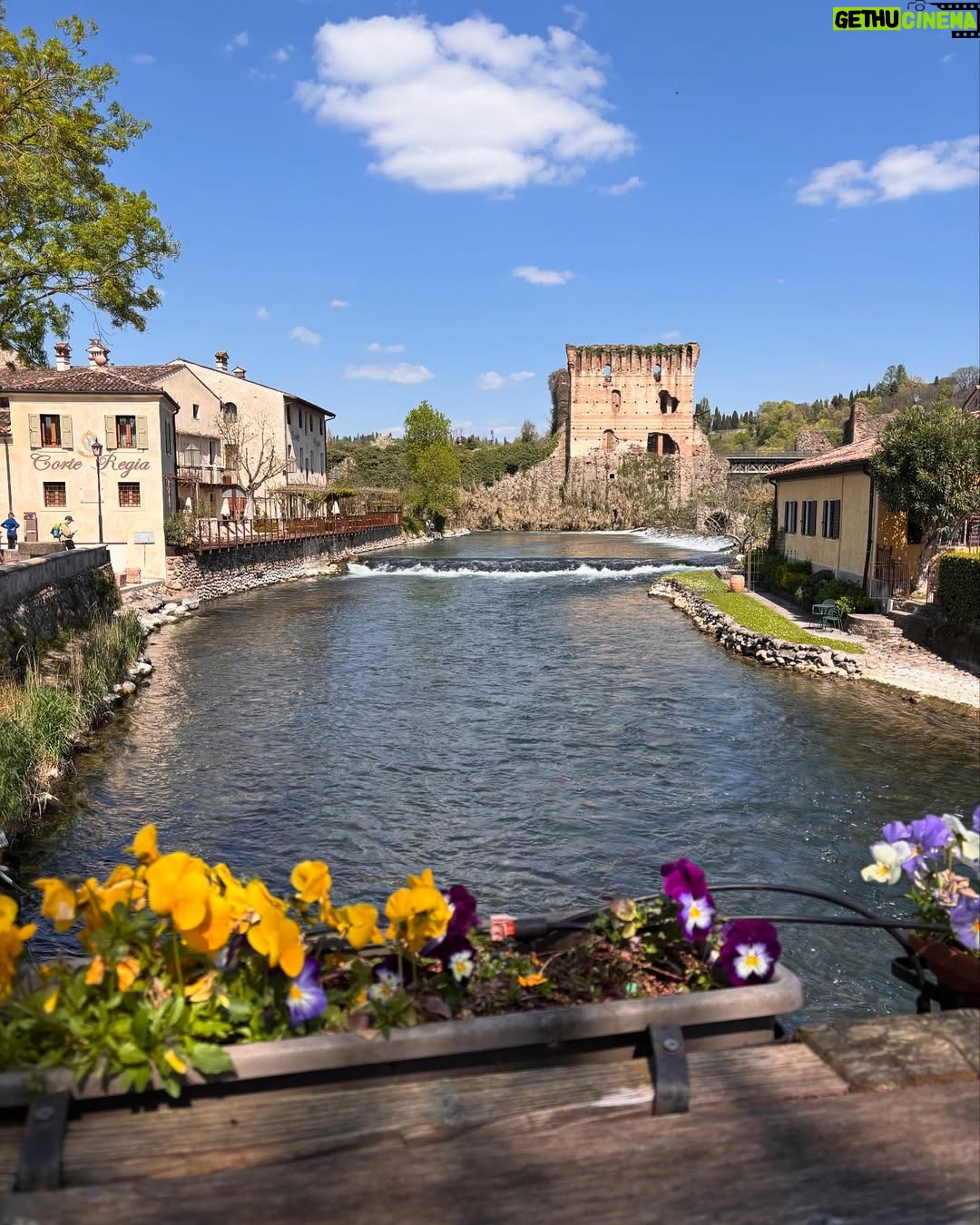 Camila Raznovich - 2.8K Likes - Flower power…. #parcosigurta #borghettosulmincio #postibelli #borgodeiborghi2025 #ontheroad #italiabella #magic