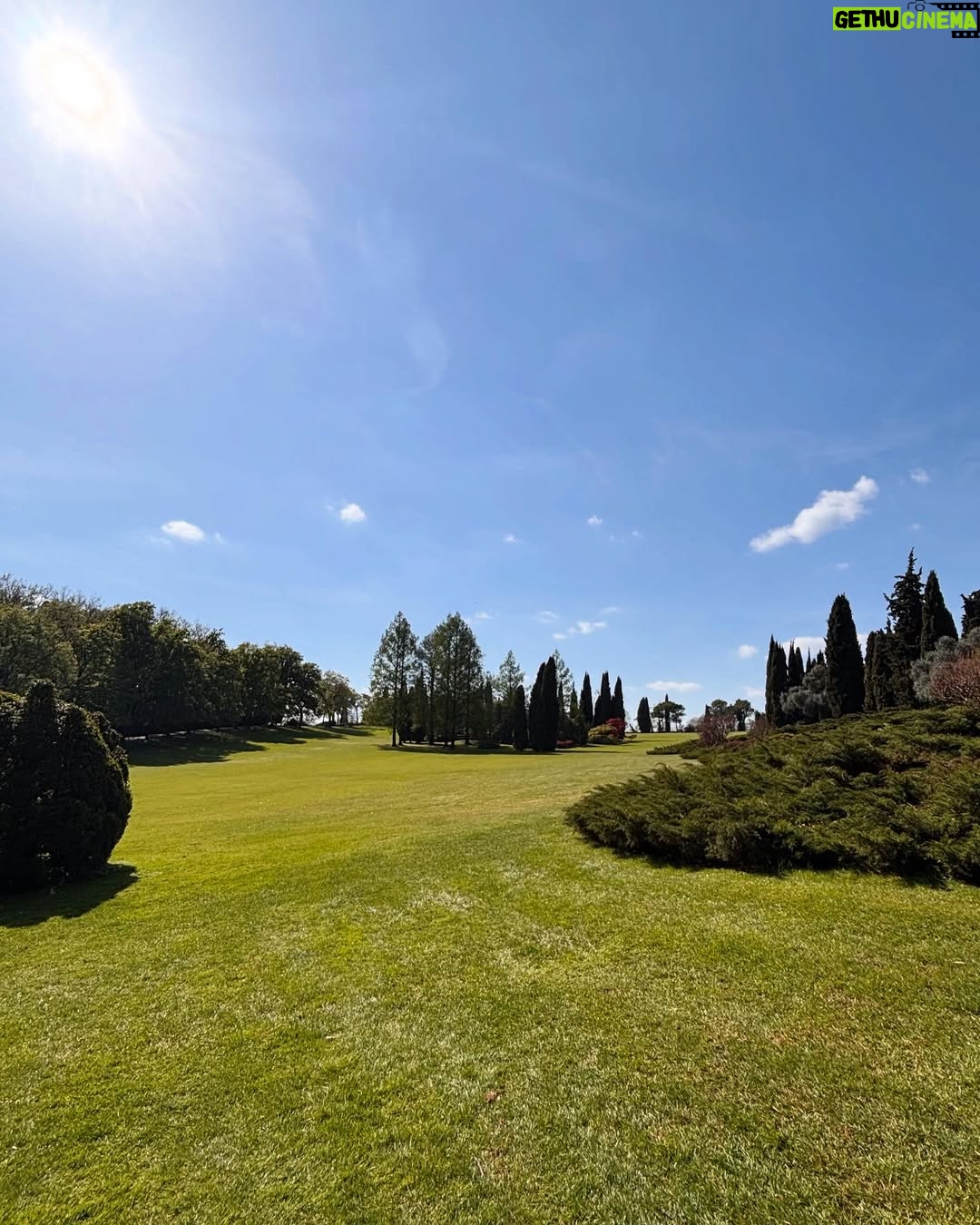 Camila Raznovich - 2.8K Likes - Flower power…. #parcosigurta #borghettosulmincio #postibelli #borgodeiborghi2025 #ontheroad #italiabella #magic