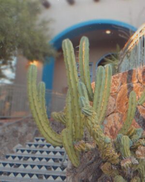 Carmela Zumbado Instagram - The desert is good for the soul ✨🌙🌵✨ Thank you @haciendadelsolaz for the most incredible recharge in the heart of the Senoran. ✨⚡️🌵🌙✨ and thank you @gigizumbado for being the best road trip buddy ever!!!!