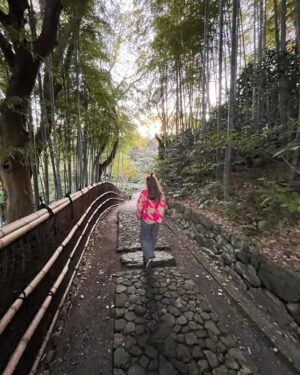 Carolina Cano Instagram - 🏯🇯🇵🎏🍣🥟🍙♥️

Mucha alegría en mi corazón.

Voy a enlistar xq es mi nueva pasión:

1. Nos fuimos de paseo tititi (o es pipipi?)
2. Me atacó una hoja. 
3. El castillo de Hamamatsu impresiona.
4. Hay su influencer style.
5. Me encanta esa foto…
6. ….pero. Sisoy.
7. Con ella siempre parribalavida.
8. Aplausos de señoras que aplauden.
9. Mostrando el paisaje.
10. Posando como modelos de café.
11. Me gustan ellos🥰