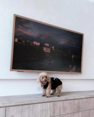 Carrie Wong Instagram - Little sneak peek of my new place! So excited things are finally falling into place.

Very happy that I already got my new Canvas TV from @hisensesg delivered! Super space saving as everything is integrated into 1 piece without needing extra connect box or external speakers, and it’s so beautiful it literally looks like a painting 🖼️♥️ 

Looking forward to build my little home 🫶🏻