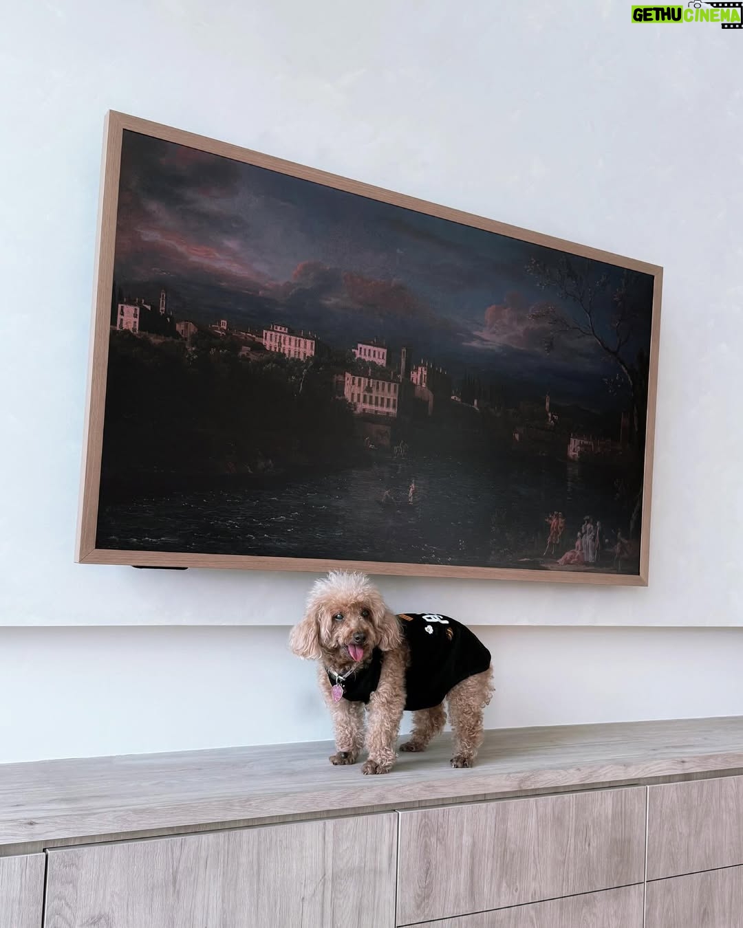 Carrie Wong - 6.4K Likes - Little sneak peek of my new place! So excited things are finally falling into place.
Very happy that I already got my new Canvas TV from @hisensesg delivered! Super space saving as everything is integrated into 1 piece without needing extra connect box or external speakers, and it’s so beautiful it literally looks like a painting 🖼️♥️
Looking forward to build my little home 🫶🏻