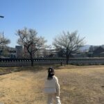 Cha Ye-ryun