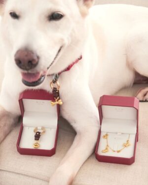 Chantalle Ng Instagram - Even our furry friends deserve to sparkle ✨🐾

Adorning my best friend with a touch of luxury from @chowtaifookjewellery ❤️

#ChowTaiFook #周大福 #CTFPET#周大福寵物珠寶 #CTFGold #GoldLegacy