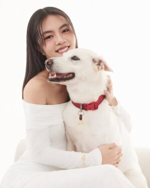 Chantalle Ng Instagram - Even our furry friends deserve to sparkle ✨🐾

Adorning my best friend with a touch of luxury from @chowtaifookjewellery ❤️

#ChowTaiFook #周大福 #CTFPET#周大福寵物珠寶 #CTFGold #GoldLegacy