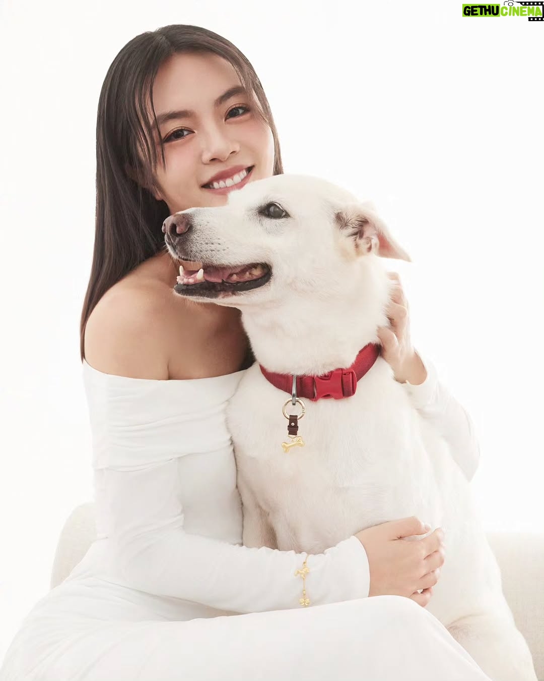 Chantalle Ng - 6.3K Likes - Even our furry friends deserve to sparkle ✨🐾
Adorning my best friend with a touch of luxury from @chowtaifookjewellery ❤️
#ChowTaiFook #周大福 #CTFPET#周大福寵物珠寶 #CTFGold #GoldLegacy