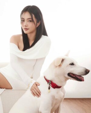 Chantalle Ng Instagram - Even our furry friends deserve to sparkle ✨🐾

Adorning my best friend with a touch of luxury from @chowtaifookjewellery ❤️

#ChowTaiFook #周大福 #CTFPET#周大福寵物珠寶 #CTFGold #GoldLegacy
