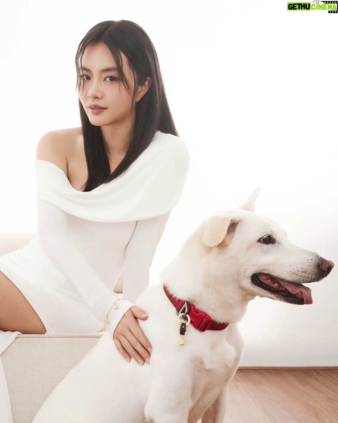 Chantalle Ng - 6.3K Likes - Even our furry friends deserve to sparkle ✨🐾
Adorning my best friend with a touch of luxury from @chowtaifookjewellery ❤️
#ChowTaiFook #周大福 #CTFPET#周大福寵物珠寶 #CTFGold #GoldLegacy