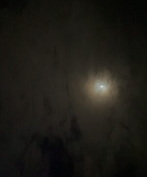 Charlotte Le Bon Instagram - Full moon with us 🌕🪷✨
@thewhitelotus