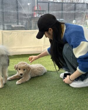 Cho Ha-seul Instagram - @withaseul 님께서 포캣멍센터에 방문해주셨습니다🥳

해외투어로 바쁜 일정에도 불구하고 아이들 한친구씩 이뻐하면서 집중 케어해주셨어요🥹 정성어린 손길에 하슬님의 다정하고, 따뜻한 마음이 전해졌습니다

뿐만 아니라, 아이들에게 건강한 한 끼를 제공해주기 위해 처방식 캔까지 후원하며 센터의 힘이 되어주어요

이번 만남을 통해 하슬님께도, 아이들에게도 행복하고 따뜻한 순간이 된거같아 무척 뜻깊습니다.

하슬님의 활동을 진심으로 응원하며 이번 방문을 통해 전해 주신 사랑과 따뜻한 마음을 잊지 않겠습니다!

HaSeul from the K-pop girl group ARTMS visited For Cat&Mung Center!

Despite her busy schedule with an overseas tour, she took the time to care for each and every one of our shelter animals, showering them with love and attention. Her gentle touch and warm heart truly shone through.

Not only that, but she also generously donated prescription canned food to provide the animals with a healthy meal, giving even more strength to our center.

This visit was such a meaningful and heartwarming moment for both HaSeul and the animals at For Cat&Mung Center.
We are incredibly grateful for her kindness and support.

#k #아빠 와 #아르테미스 #하슬 #artms