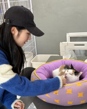 Cho Ha-seul Instagram - @withaseul 님께서 포캣멍센터에 방문해주셨습니다🥳

해외투어로 바쁜 일정에도 불구하고 아이들 한친구씩 이뻐하면서 집중 케어해주셨어요🥹 정성어린 손길에 하슬님의 다정하고, 따뜻한 마음이 전해졌습니다

뿐만 아니라, 아이들에게 건강한 한 끼를 제공해주기 위해 처방식 캔까지 후원하며 센터의 힘이 되어주어요

이번 만남을 통해 하슬님께도, 아이들에게도 행복하고 따뜻한 순간이 된거같아 무척 뜻깊습니다.

하슬님의 활동을 진심으로 응원하며 이번 방문을 통해 전해 주신 사랑과 따뜻한 마음을 잊지 않겠습니다!

HaSeul from the K-pop girl group ARTMS visited For Cat&Mung Center!

Despite her busy schedule with an overseas tour, she took the time to care for each and every one of our shelter animals, showering them with love and attention. Her gentle touch and warm heart truly shone through.

Not only that, but she also generously donated prescription canned food to provide the animals with a healthy meal, giving even more strength to our center.

This visit was such a meaningful and heartwarming moment for both HaSeul and the animals at For Cat&Mung Center.
We are incredibly grateful for her kindness and support.

#k #아빠 와 #아르테미스 #하슬 #artms