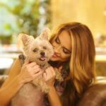 Chrishell Stause