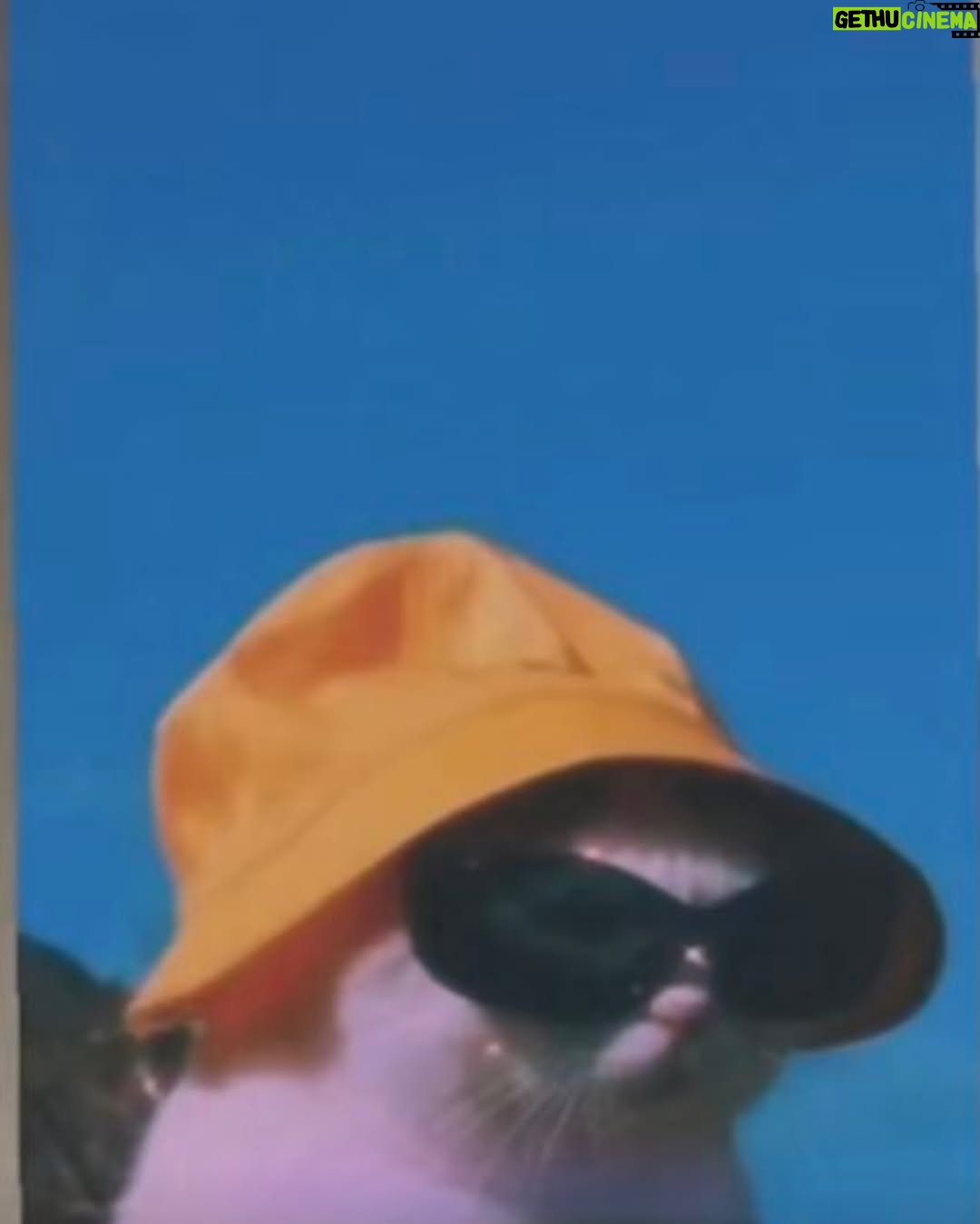 Ciara Miller - 54K Likes - I fucking love summer.
