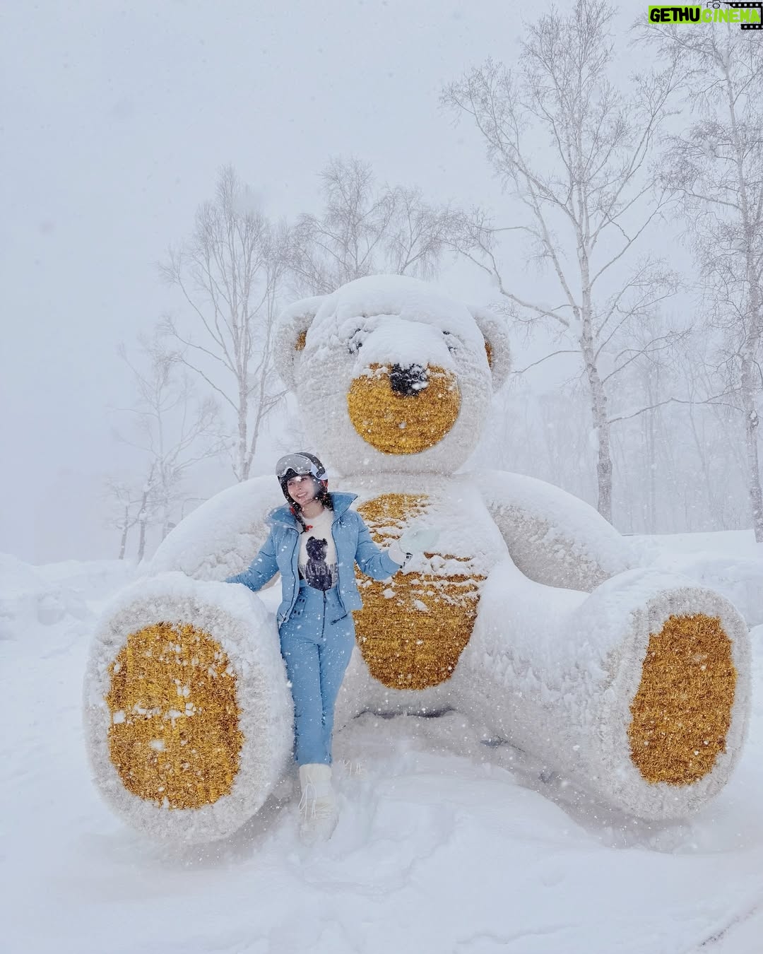 Cindy May McGuire - 3 Likes - I saw a bear in the forest 🌳🌬️ 🐻