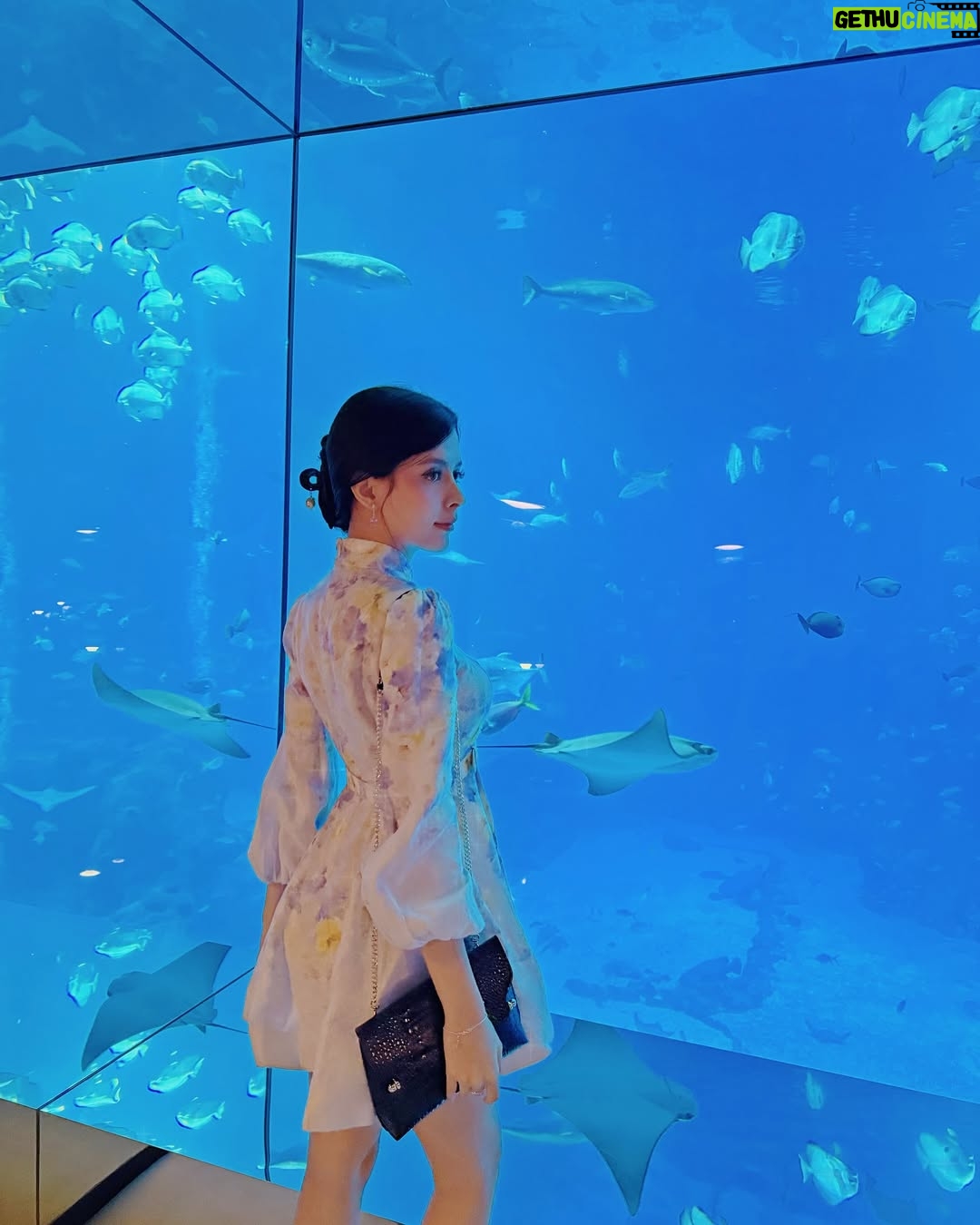 Cindy May McGuire - 3 Likes - #searestaurant 🐬🩷