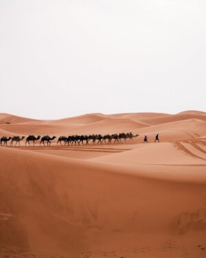 Cindy Poumeyrol Instagram - Je suis finisher du Marathon des Sables Legendary.
250km, près de 48h de course, en 6 étapes ✅
Je n'ai même pas les mots pour décrire cette aventure tellement c'était spécial.
J'espère sincèrement que mon aventure partagée ici vous aura donné envie de prendre un dossard, et de découvrir le dépassement de soi. Merci pour vos mots extraordinaires.
Juste après la course, on a eu la possibilité d'enregistrer un message vidéo dans une émotion box qui nous sera envoyé dans 1 an, peut être 10 ans...
Je me suis évidemment adressée à mes 3 filles, en leur demandant de toujours rêver grand. 
La vie, c'est un tour de manège ! 

@mdslegendary @asicsrunning @ll_agency_ 
Publicité

📷 @celiope_