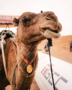 Cindy Poumeyrol Instagram - Je suis finisher du Marathon des Sables Legendary.
250km, près de 48h de course, en 6 étapes ✅
Je n'ai même pas les mots pour décrire cette aventure tellement c'était spécial.
J'espère sincèrement que mon aventure partagée ici vous aura donné envie de prendre un dossard, et de découvrir le dépassement de soi. Merci pour vos mots extraordinaires.
Juste après la course, on a eu la possibilité d'enregistrer un message vidéo dans une émotion box qui nous sera envoyé dans 1 an, peut être 10 ans...
Je me suis évidemment adressée à mes 3 filles, en leur demandant de toujours rêver grand. 
La vie, c'est un tour de manège ! 

@mdslegendary @asicsrunning @ll_agency_ 
Publicité

📷 @celiope_