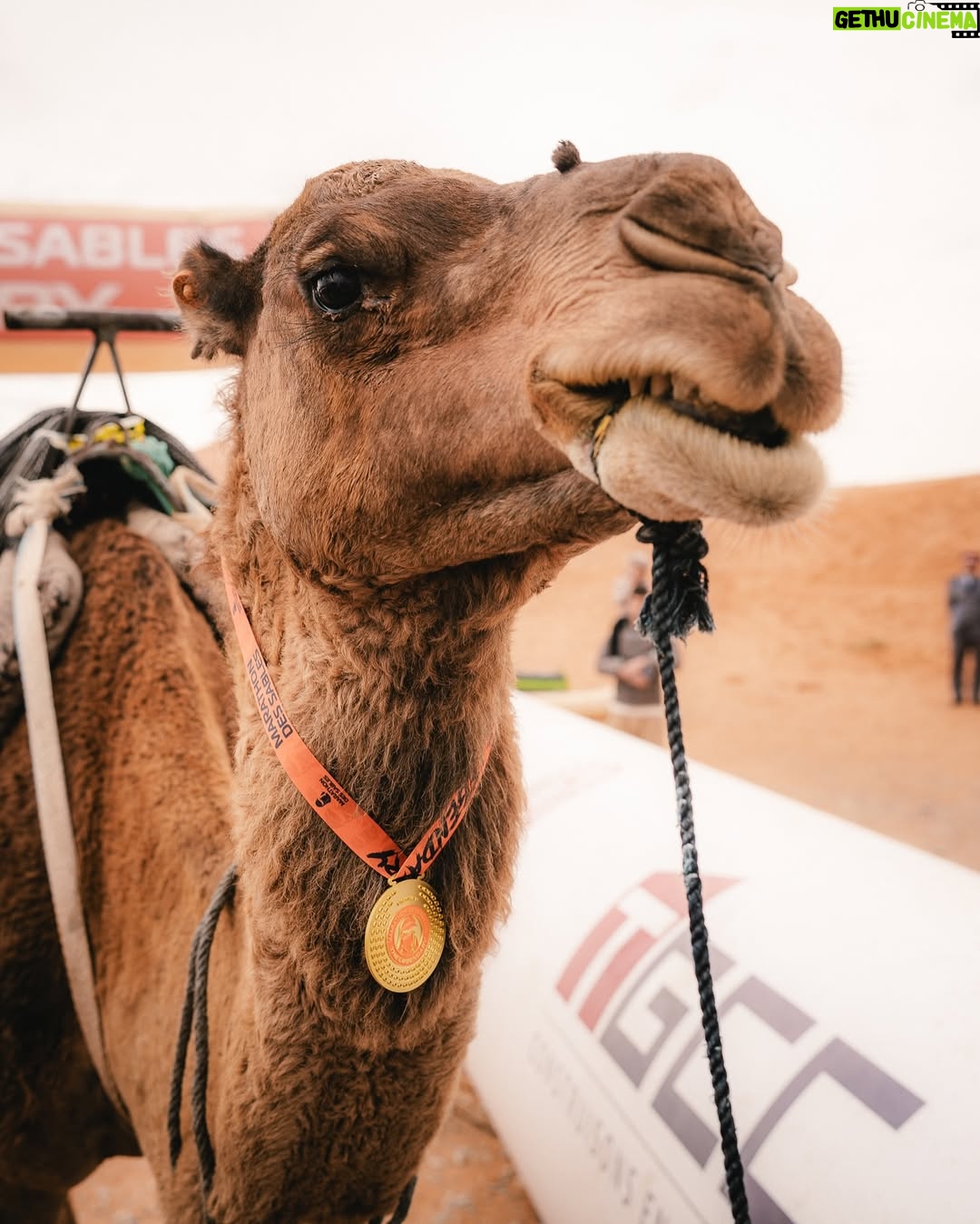 Cindy Poumeyrol - 65.2K Likes - Je suis finisher du Marathon des Sables Legendary.
250km, près de 48h de course, en 6 étapes ✅
Je n'ai même pas les mots pour décrire cette aventure tellement c'était spécial.
J'espère sincèrement que mon aventure partagée ici vous aura donné envie de prendre un dossard, et de découvrir le dépassement de soi. Merci pour vos mots extraordinaires.
Juste après la course, on a eu la possibilité d'enregistrer un message vidéo dans une émotion box qui nous sera envoyé dans 1 an, peut être 10 ans...
Je me suis évidemment adressée à mes 3 filles, en leur demandant de toujours rêver grand.
La vie, c'est un tour de manège !
@mdslegendary @asicsrunning @ll_agency_
Publicité
📷 @celiope_